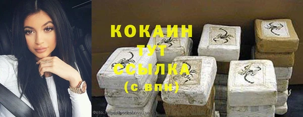 ПСИЛОЦИБИНОВЫЕ ГРИБЫ Аркадак