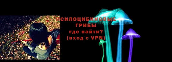 spice Новодвинск