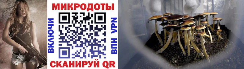 как найти закладки Уяр Псилоцибиновые грибы мухоморы