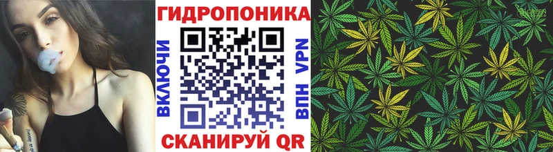гидра ссылка shop официальный сайт Канабис THC 21% Уяр